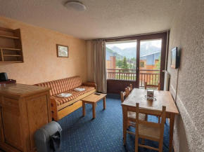 Studio familial, animaux admis, au pied des pistes - FR-1-811-16